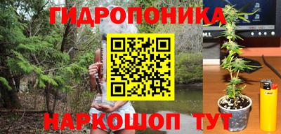 мяу мяу мука Будённовск